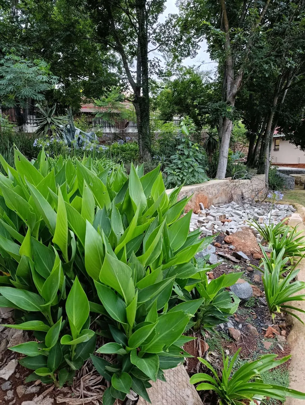 Outdoor View