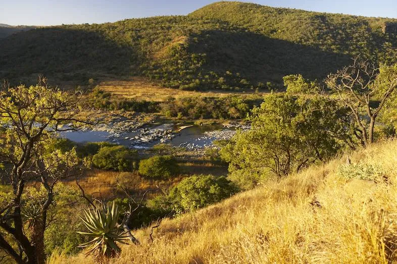 Wildlife & Nature Reserves